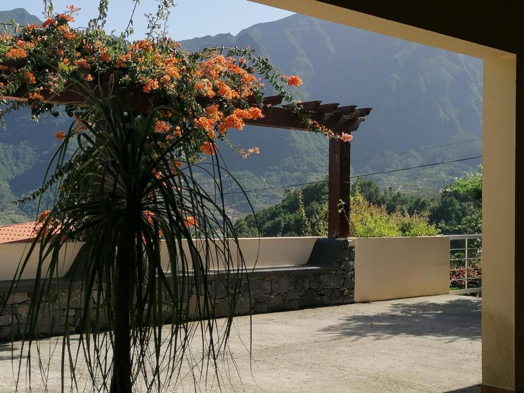 Casa Das Ginjas São Vicente Extérieur photo