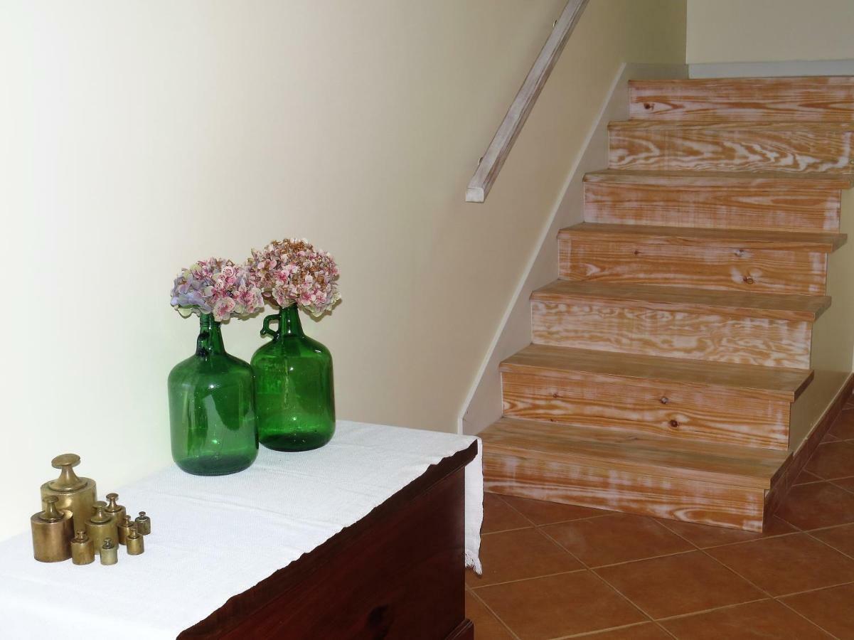Casa Das Ginjas São Vicente Extérieur photo